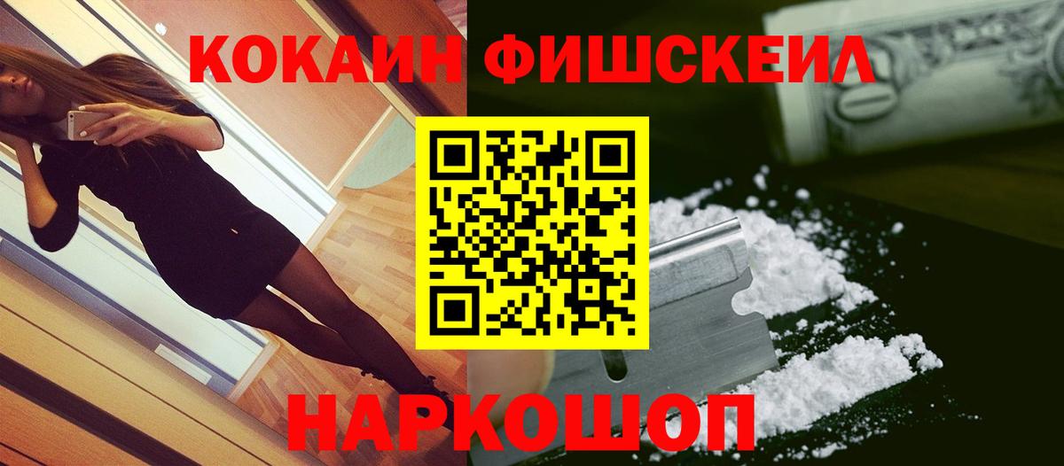 Cocaine FishScale  Вход с VPN  Камышин 