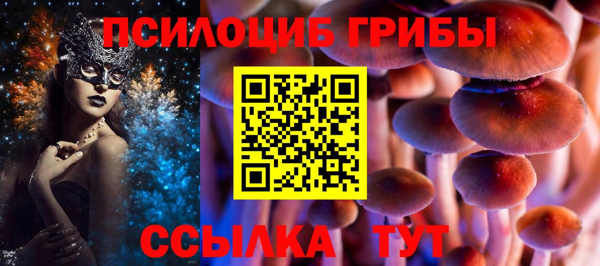 Псилоцибиновые грибы мицелий  Вход с VPN  Камышин 